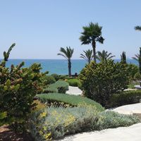 Villa in Republic of Cyprus, Lemesou, 794 sq.m.