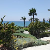 Villa in Republic of Cyprus, Lemesou, 502 sq.m.