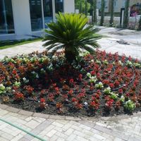 Flat at the seaside in Turkey, Antalya, 55 sq.m.