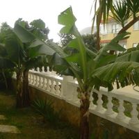 Villa at the seaside in Turkey, Alanya, 210 sq.m.