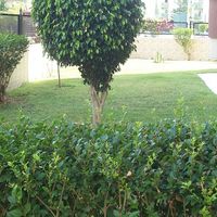 Квартира у моря в Турции, Аланья, 135 кв.м.