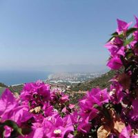 Villa at the seaside in Turkey, Alanya, 195 sq.m.