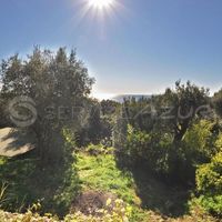 Вилла у моря во Французской Гвиане, 200 кв.м.