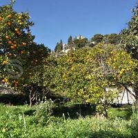 Вилла у моря во Французской Гвиане, 200 кв.м.