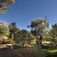 Вилла у моря во Французской Гвиане, 200 кв.м.