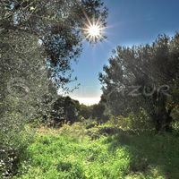 Вилла у моря во Французской Гвиане, 200 кв.м.