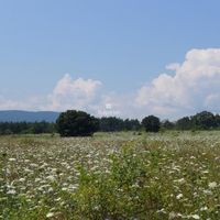 Land plot in Bulgaria, Lozenets