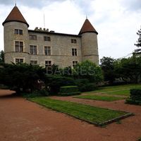 Castle in France, Auvergne, Ars-sur-Formans, 800 sq.m.