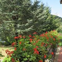 Дом в Италии, Специя, 250 кв.м.