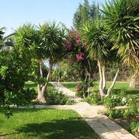 Villa in Republic of Cyprus, Lemesou, 348 sq.m.