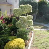 Villa in Republic of Cyprus, Lemesou, 789 sq.m.