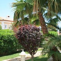 House in Spain, 122 sq.m.