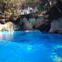 Другая коммерческая недвижимость в Испании, Валенсия, 1400 кв.м.