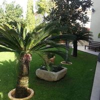 Вилла на Кипре, Лимасол, 510 кв.м.