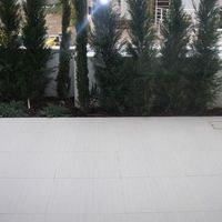 Квартира на Кипре, Лимасол, 123 кв.м.