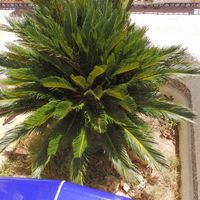 Apartment in Spain, 130 sq.m.