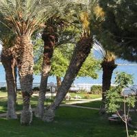 Квартира на Кипре, Лимасол, 110 кв.м.