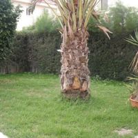 Villa in Republic of Cyprus, Lemesou, 190 sq.m.