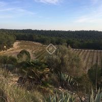 Элитная недвижимость в Испании, Каталония, Ситжес, 590 кв.м.