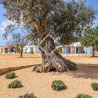 Вилла в большом городе, в горах, у озера, у моря в Испании, Балеарские Острова, Ибица, 895 кв.м.