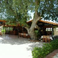 Hotel in the mountains, at the seaside in Turkey, Fethiye, 1800 sq.m.