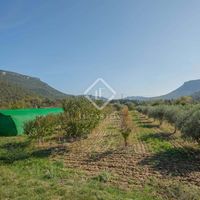 Вилла в горах в Испании, Каталония, Жирона, 500 кв.м.