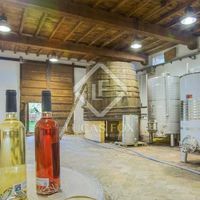 Villa in Spain, Catalunya, Girona, 790 sq.m.