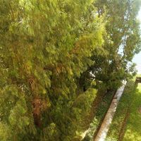 Flat in Republic of Cyprus, Lemesou, 117 sq.m.