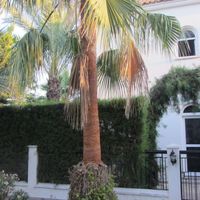 Вилла на Кипре, Ларнака, 154 кв.м.