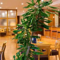 Other commercial property at the seaside in Spain, Comunitat Valenciana, 6182 sq.m.