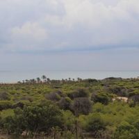 Flat at the seaside in Spain, Comunitat Valenciana, Guardamar del Segura, 70 sq.m.