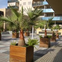 Апартаменты у моря в Испании, Валенсия, Аликанте, 70 кв.м.