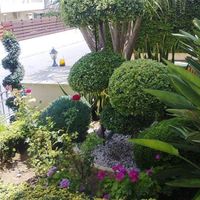 Вилла на Кипре, Лимасол, 210 кв.м.