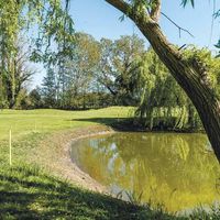 Villa at the seaside in Italy, Marina di Pietrasanta, 450 sq.m.