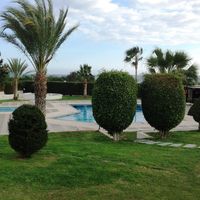 Вилла на Кипре, Лимасол, 495 кв.м.