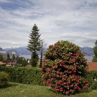 Вилла в горах, у озера в Италии, Тронцано-Лаго-Маджоре, 436 кв.м.