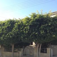 Вилла на Кипре, Лимасол, 171 кв.м.