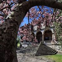 Элитная недвижимость в деревне, у моря в Италии, Венеция, 3534 кв.м.