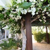 Вилла на Кипре, Пафос, 160 кв.м.