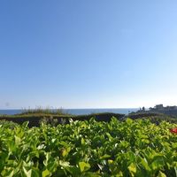 Вилла на Кипре, Пафос, 160 кв.м.