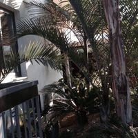 Вилла на Кипре, Лимасол, 240 кв.м.