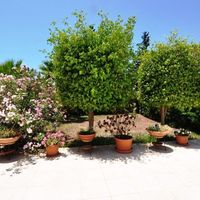 Квартира на Кипре, Лимасол, 129 кв.м.