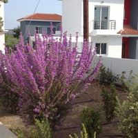 Вилла на Кипре, Лимасол, 186 кв.м.