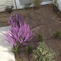 Вилла на Кипре, Лимасол, 186 кв.м.