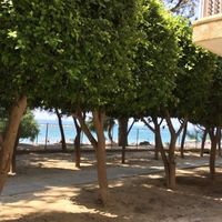 Flat in Republic of Cyprus, Lemesou, 132 sq.m.