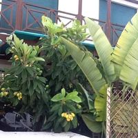 Квартира на Кипре, Лимасол, 140 кв.м.