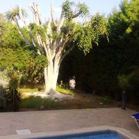 Villa in Republic of Cyprus, Lemesou, 250 sq.m.