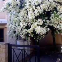 Villa in Republic of Cyprus, Lemesou, 250 sq.m.