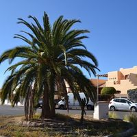 Villa in Spain, Canary Islands, Santa Cruz de Tenerife, 447 sq.m.
