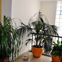 Villa in Republic of Cyprus, Lemesou, 250 sq.m.